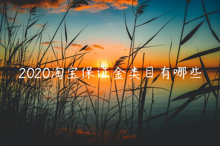 2020淘寶保證金類目有哪些